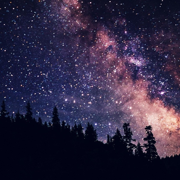 Meet your Posher, Sophia - Picture 1 of 1